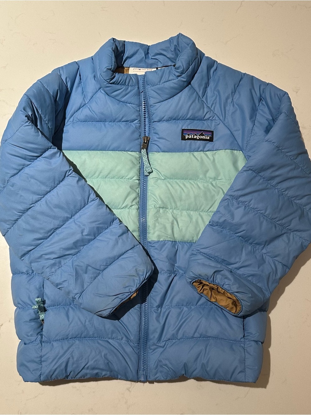 Patagonia 4T Down Jacket